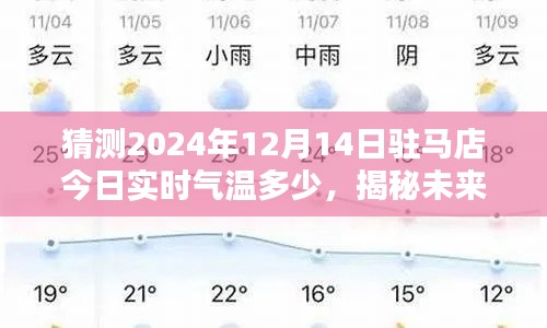 2024年12月15日 第19页