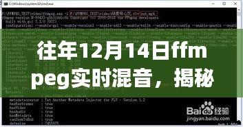 揭秘往年12月14日FFmpeg实时混音技术深度解析与洞察，实时混音技术的洞察与深度解析