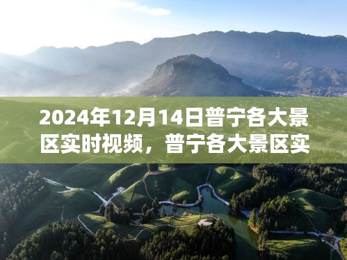 普宁景区实时视频直播，体验、对比与深度分析（2024年12月14日）