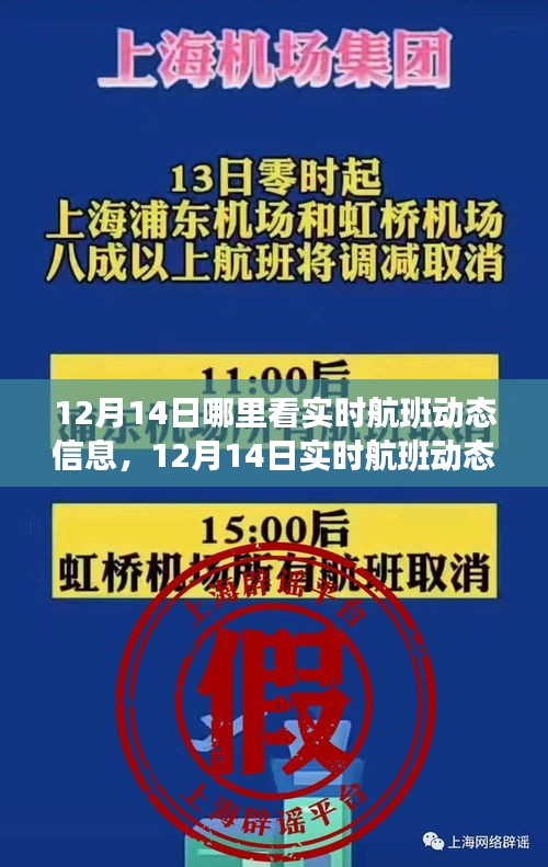 12月14日航班动态实时查看攻略，轻松掌握航班信息全攻略