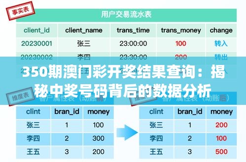 350期澳门彩开奖结果查询：揭秘中奖号码背后的数据分析