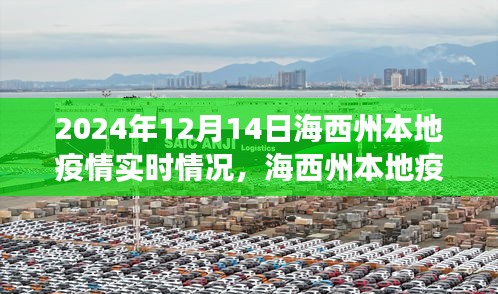 海西州本地疫情实时评测报告，深度剖析疫情动态及应对体验（2024年12月14日）