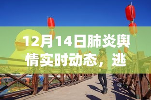 12月14日肺炎舆情实时动态，冬季阴霾下的心灵之旅探索自然与心灵共舞之道