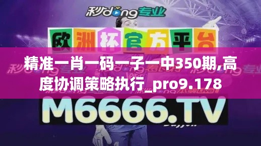 精准一肖一码一子一中350期,高度协调策略执行_pro9.178