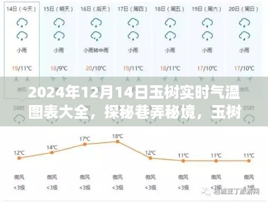 玉树角落的温暖小店，揭秘探秘巷弄秘境的气温之旅，实时气温图表大全（2024年12月14日）