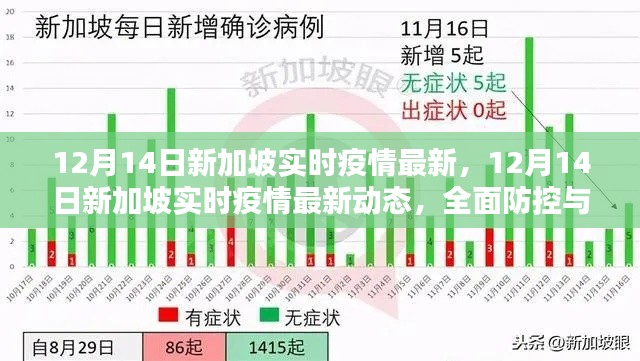 12月14日新加坡实时疫情最新动态，全面防控与积极应对