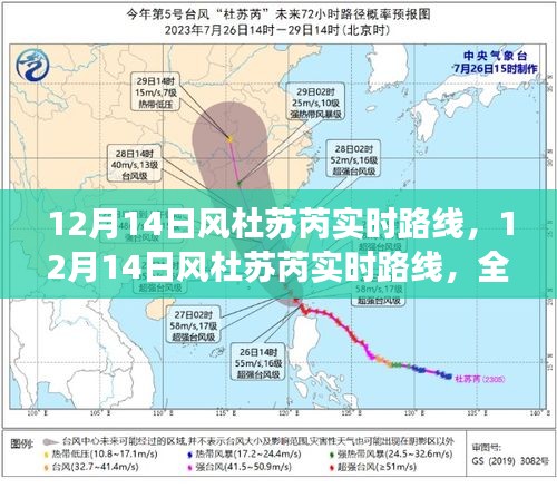 12月14日风杜苏芮实时路线全面解读，最新动态与路径掌握