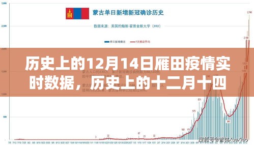 历史上的12月14日雁田疫情实时数据深度解析