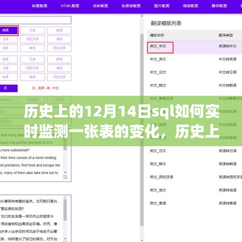 历史上的12月14日，SQL实时监测表变化的技术深度解析与实现探讨