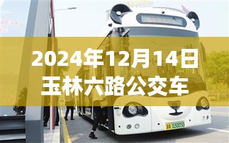 驾驭生活的方向盘，玉林六路公交车励志之旅实时查询（2024年12月14日）