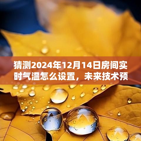 未来技术解析，如何设置2024年房间实时气温的策略与预测观点揭秘