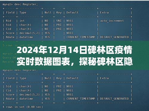 碑林区疫情实时数据图表下的隐秘小巷与独特风味小店故事探索（2024年12月14日）