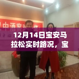 12月14日宝安马拉松之路，城市脉搏与奔跑的力量实时更新