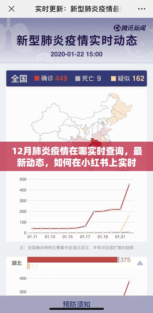 小红书上实时查询肺炎疫情最新动态及实时查询指南