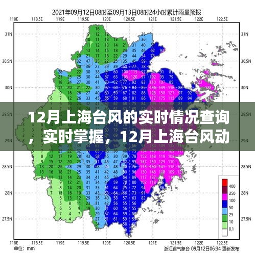 12月上海台风实时动态，全方位了解最新情况