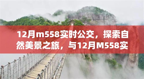 搭乘12月M558实时公交，启程自然美景探索之旅，寻觅内心宁静之旅