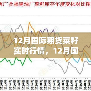 12月国际期货菜籽实时行情深度解析，多方观点交织的思考