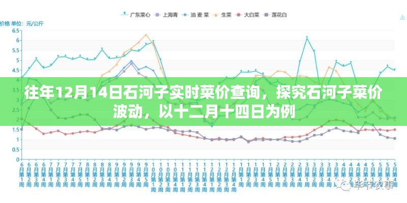 十二月十四日石河子菜价波动解析与实时菜价查询