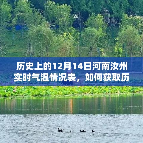 详细步骤指南获取历史上的12月14日河南汝州实时气温情况表，实时掌握气温变化数据！