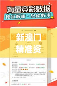 新澳门精准资料大全管家婆料,专家说明解析_标配版9.110