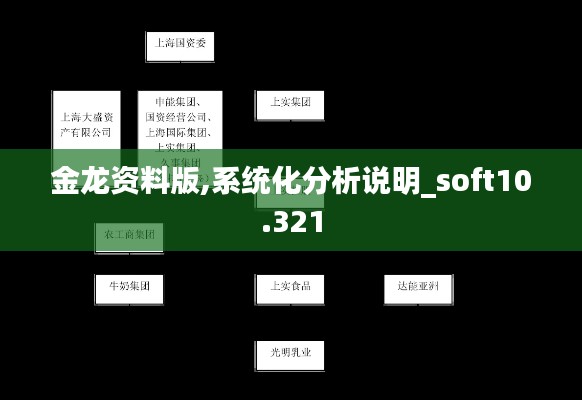 金龙资料版,系统化分析说明_soft10.321