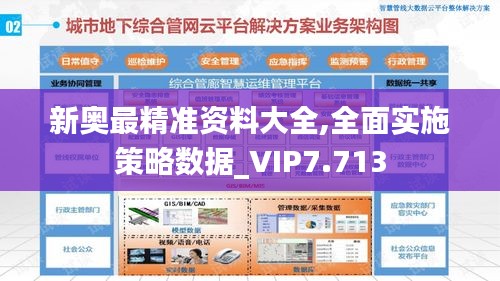 新奥最精准资料大全,全面实施策略数据_VIP7.713