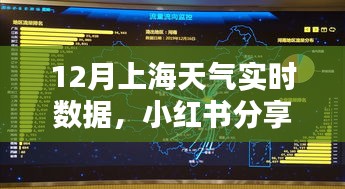 揭秘十二月上海天气秘密，实时数据与小红书分享