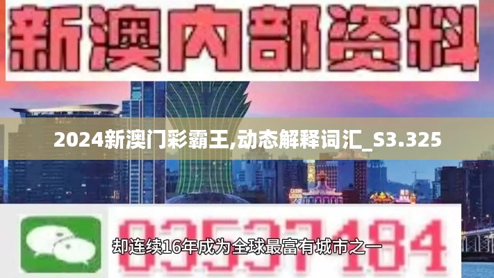 2024新澳门彩霸王,动态解释词汇_S3.325