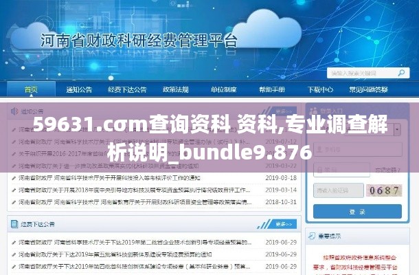59631.cσm查询资科 资科,专业调查解析说明_bundle9.876