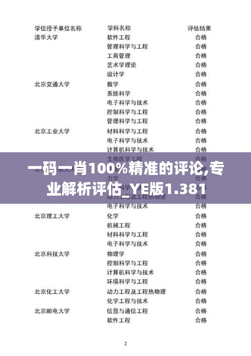 一码一肖100%精准的评论,专业解析评估_YE版1.381