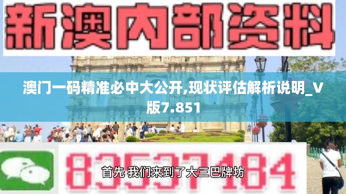 澳门一码精准必中大公开,现状评估解析说明_V版7.851