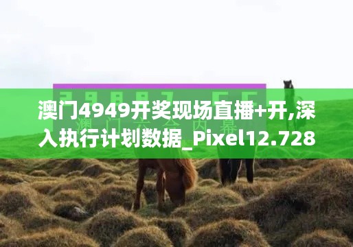 澳门4949开奖现场直播+开,深入执行计划数据_Pixel12.728