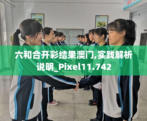 六和合开彩结果澳门,实践解析说明_Pixel11.742