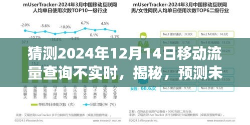 揭秘预测未来流量变化，关于移动流量查询实时性的探讨与猜测（2024年12月14日）