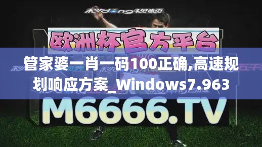 管家婆一肖一码100正确,高速规划响应方案_Windows7.963