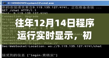 往年12月14日程序运行实时显示指南，初学者与进阶用户的详细步骤教程