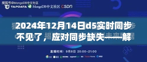 解决指南，应对2024年D5实时同步缺失问题，恢复同步功能实用指南