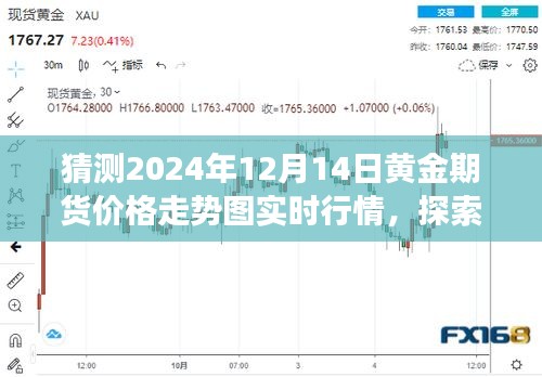 2024年12月17日 第13页