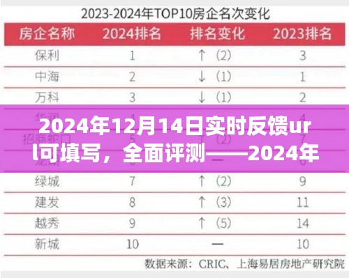 2024年12月14日实时反馈URL可填写，产品深度解析与全面评测