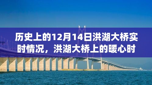 洪湖大桥上的暖心时光，友谊与陪伴的温馨故事在12月14日的历史时刻中绽放