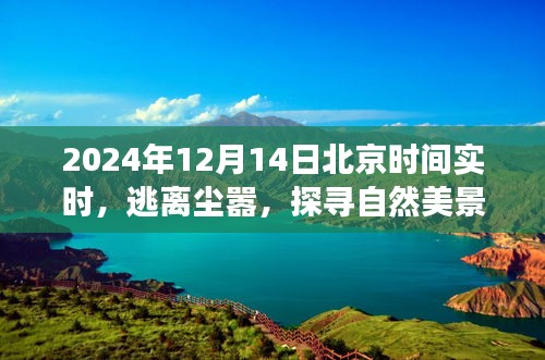 心灵之旅，逃离尘嚣，探寻自然美景的旅程（2024年12月14日北京时间实时）