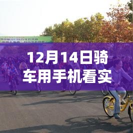 2024年12月17日 第3页