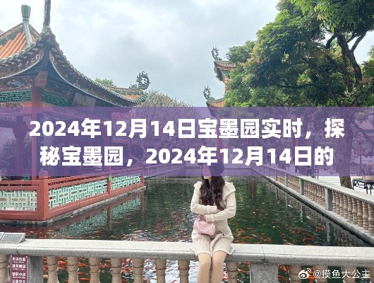 探秘宝墨园，揭秘奇妙之旅的现场实况（2024年12月14日）