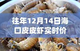 2024年12月17日 第2页