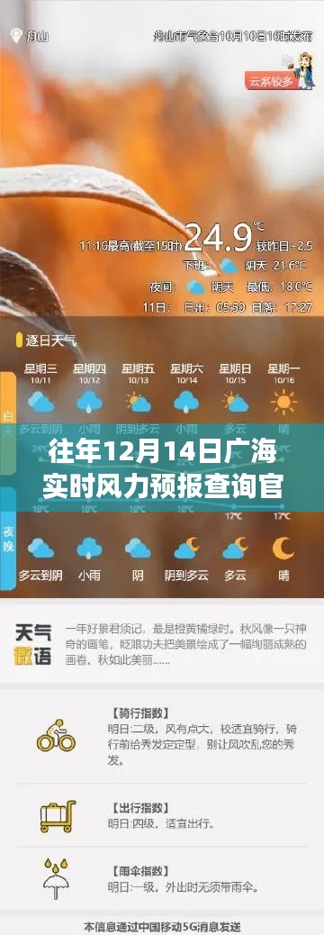 广海之风，历年12月14日实时风力预报故事与查询指南