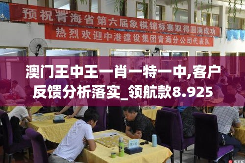 澳门王中王一肖一特一中,客户反馈分析落实_领航款8.925