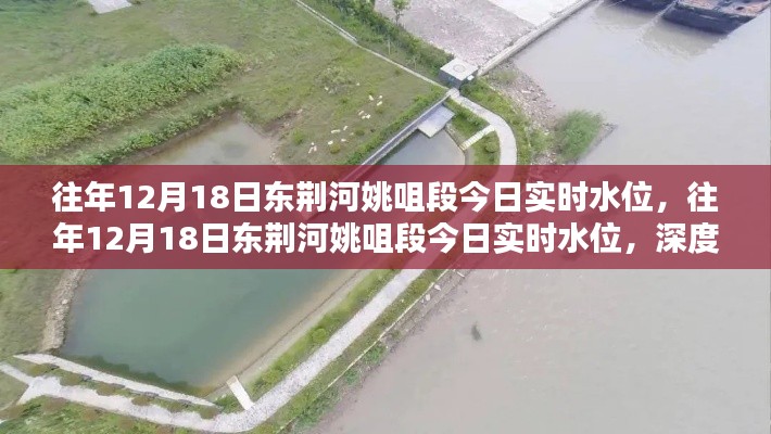 东荆河姚咀段实时水位深度解析与案例分享，历年12月18日的观察报告及水位分析