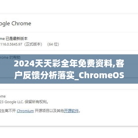 2024天天彩全年免费资料,客户反馈分析落实_ChromeOS10.995