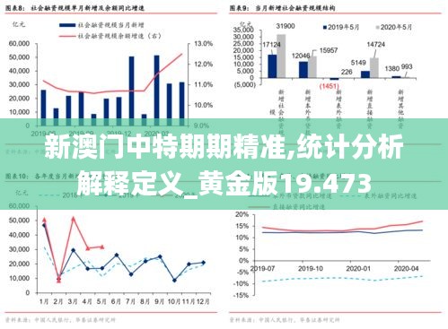 新澳门中特期期精准,统计分析解释定义_黄金版19.473