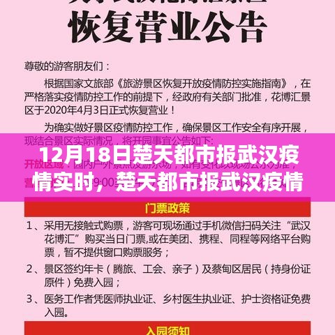 楚天都市报武汉疫情实时报道，深度分析、用户洞察与评测报告